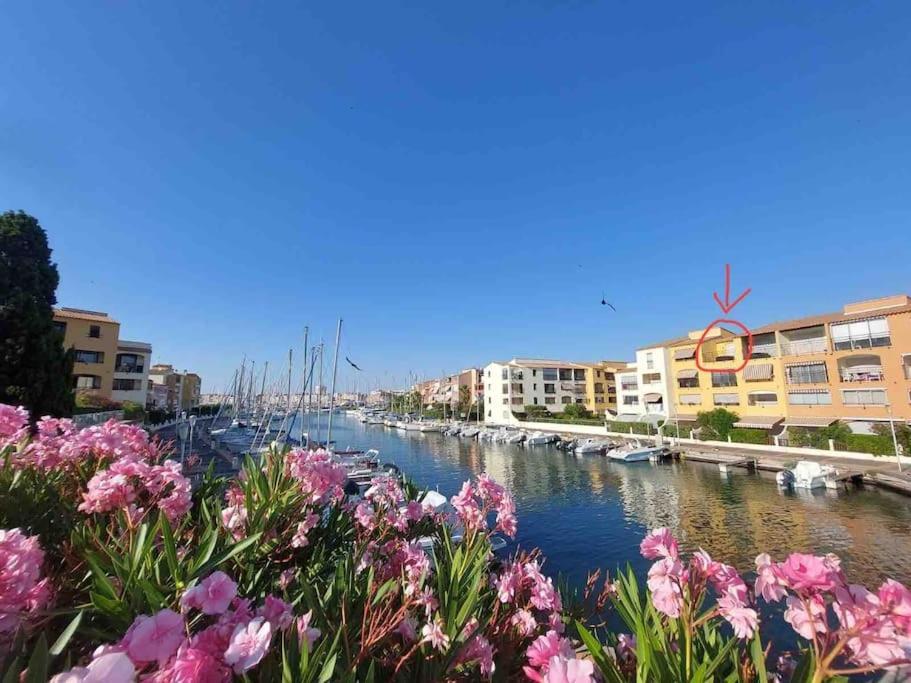 אגדה Cap'Nomad Studio Cote Port - Terrasse - Piscine - Parking מראה חיצוני תמונה